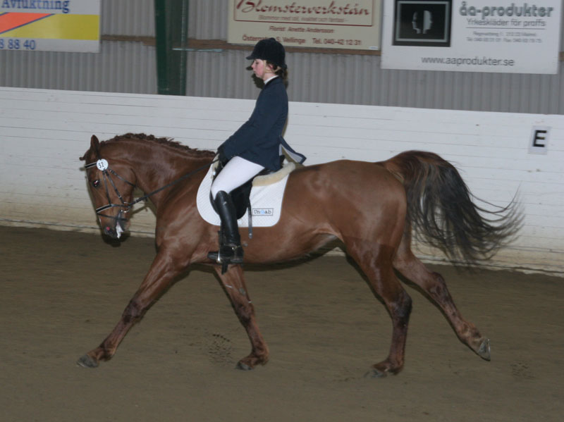 20080406_121936 Catrin Lindh Tiphonia